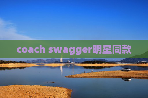 coach swagger明星同款
